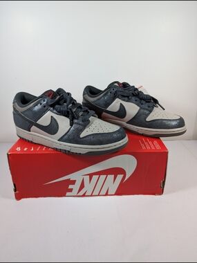 Nike Dunk Low Retro QS Metallic Silver Off Noir Men's 7.5 IB2258-001  10/17/24